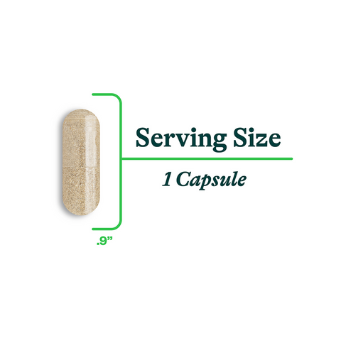 Bile Nutrients