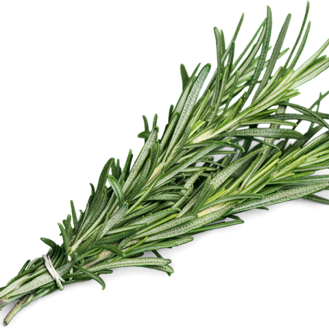 Maria Åkerberg Scalp Treatment Rosemary