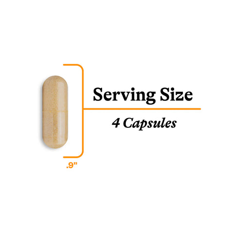 Seeking Health Gut Nutrients