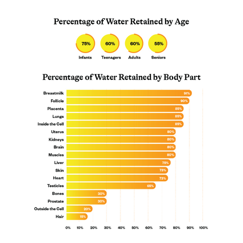 Optimal Electrolyte