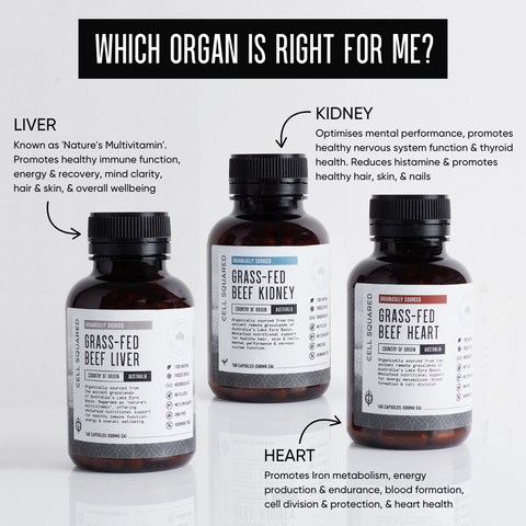 Organic Grass-Fed Beef Kidney Capsules Natural Thyroid Support