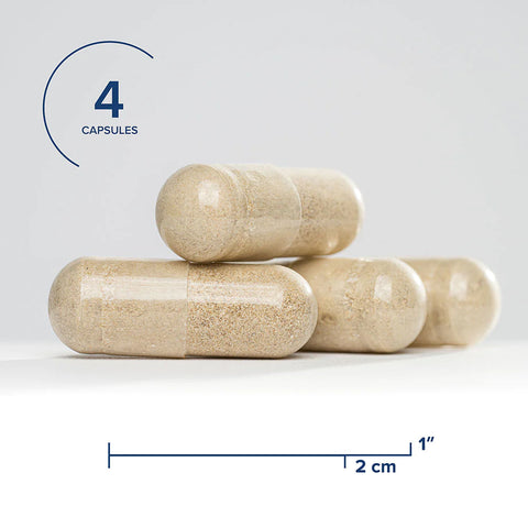 Gallbladder Nutrients - now Bile Nutrients