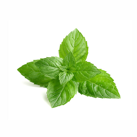 Maria Åkerberg Shampoo Mentha