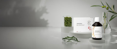ZinZino