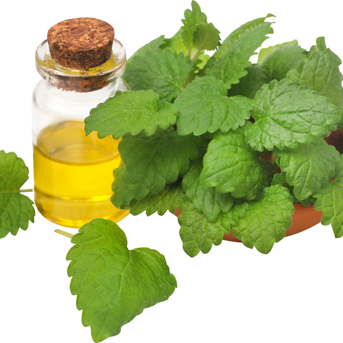Maria Åkerberg Hair Conditioner Nettle