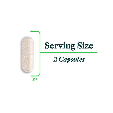 Digestive Enzymes